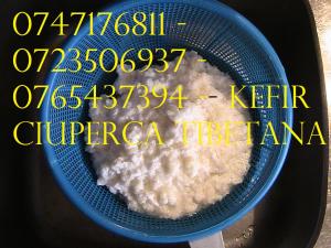 CIUPERCA TIBETANA 0721339995 KEFIR DE LAPTE