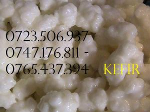 CIUPERCA TIBETANA 0721339995 KEFIR DE LAPTE