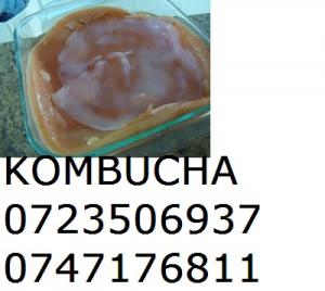 KOMBUCHA ROMANIA 0721339995 CIUPERCA CEAI KOMBUCHA TEA