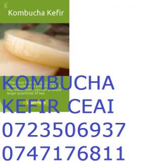KOMBUCHA ROMANIA 0721339995 CIUPERCA CEAI KOMBUCHA TEA
