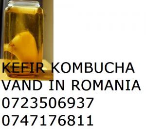 KOMBUCHA ROMANIA 0721339995 CIUPERCA CEAI KOMBUCHA TEA