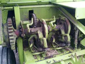 claas markant