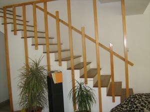 Casa 5 camere zona Stadion Ilie Oana