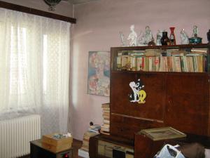 Vila de vanzare Ultracentral