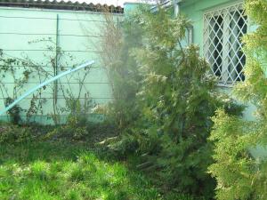 Vila de vanzare Ultracentral