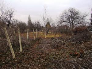 Teren de vanzare zona Piata Anton Ploiesti