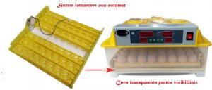 Incubator 48 oua automat