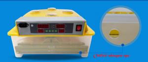 Incubator 48 oua automat