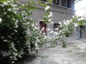 Casa pentru sediu de firma,    zona Icoanei