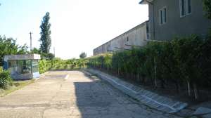 afacere la cheie, profit garantat in domeniul viticol
