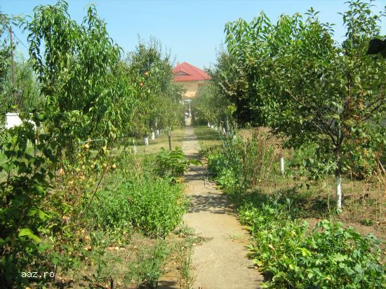 Vila de vanzare zona ALBERT la strada Republicii