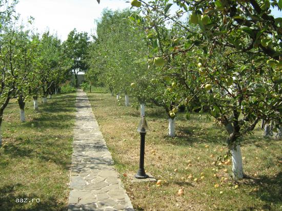 Vila de vanzare zona ALBERT la strada Republicii