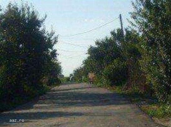 Teren Intravilan Loturi Destinatie Mixta Localitatea Copaceni judet Ilfov