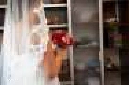 vand rochie mireasa