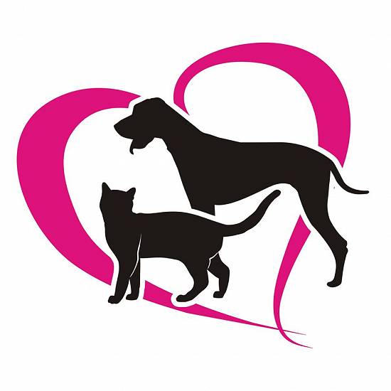 Produse premium pentru uz veterinar (vitamine,  antiinflamatorii,  etc.)