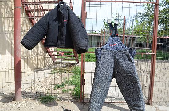 Vindem costum pentru muscatura marca Bende