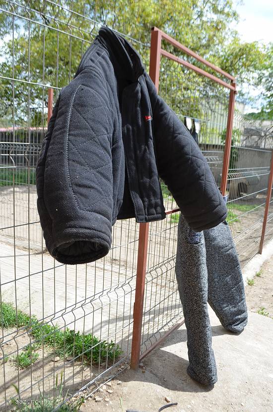 Vindem costum pentru muscatura marca Bende