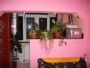 apartament o camera(garsoniera)