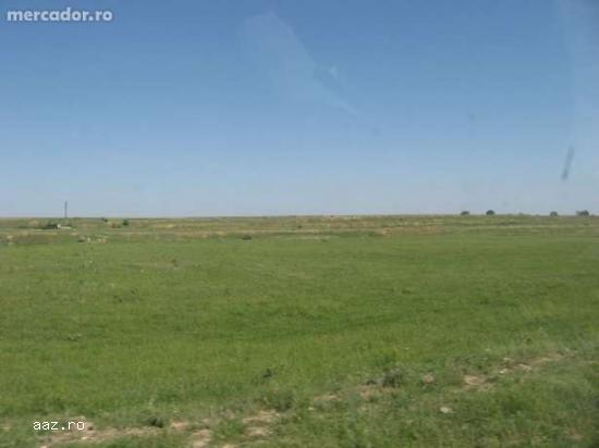 Teren de Vanzare Poarta Alba Nazarcea (Canal Midia-Navodari)
