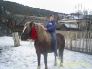 vand caii