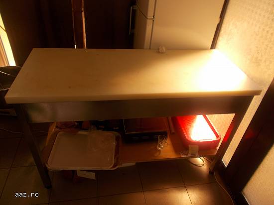 vand linie covrigarie completa totul la 220 v