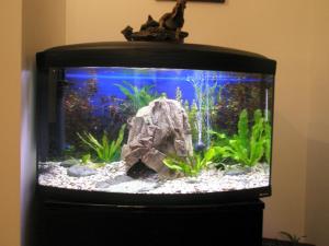 Vand Acvariu Cayman Scenic 80 Complet Echipat