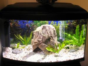 Vand Acvariu Cayman Scenic 80 Complet Echipat