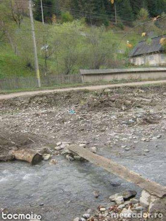 1000 teren munte cu utilitati si  izvor