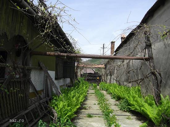 Casă de v�nzare