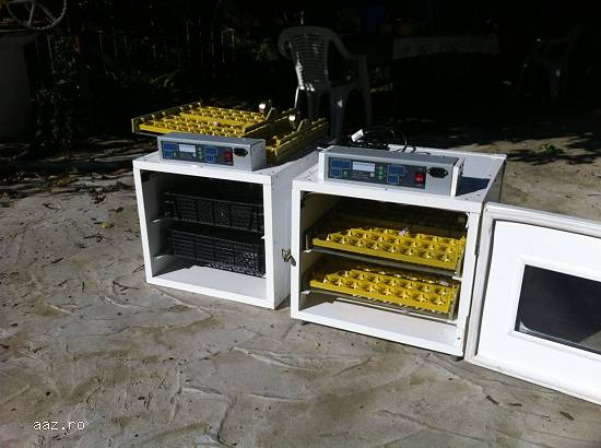 Incubator automat oua