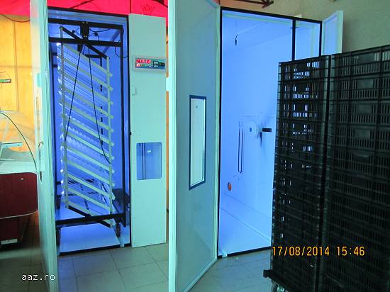 Incubator automat oua