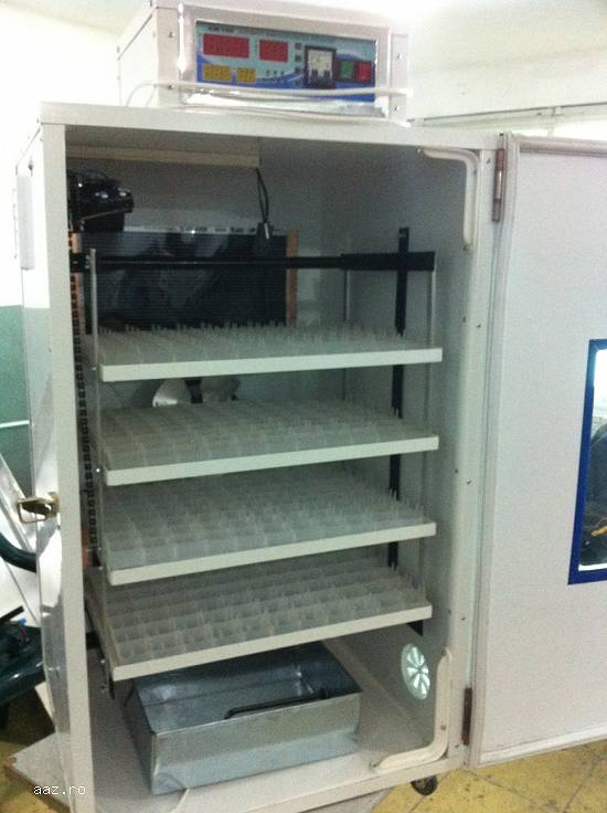 Incubator automat oua