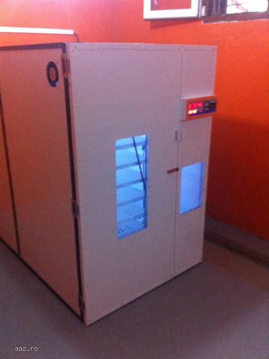 Incubator prepelite