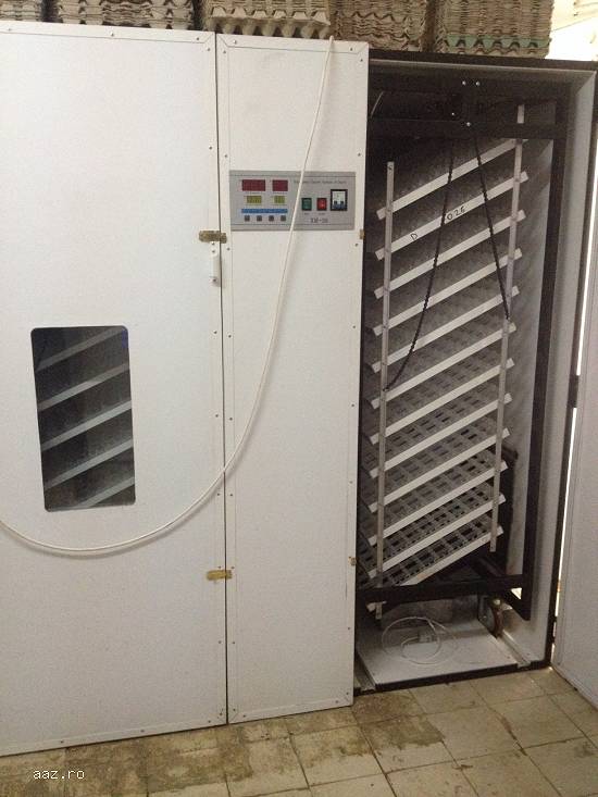 incubator industrial