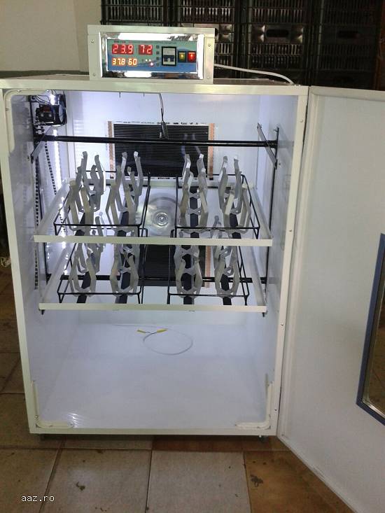 incubator struti