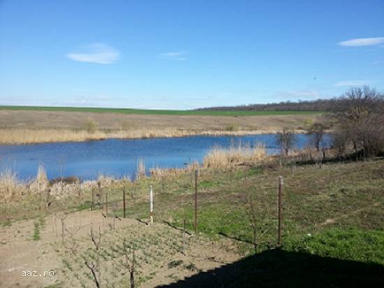 1000m cu 30m deschidere la lac Moara Vlasiei