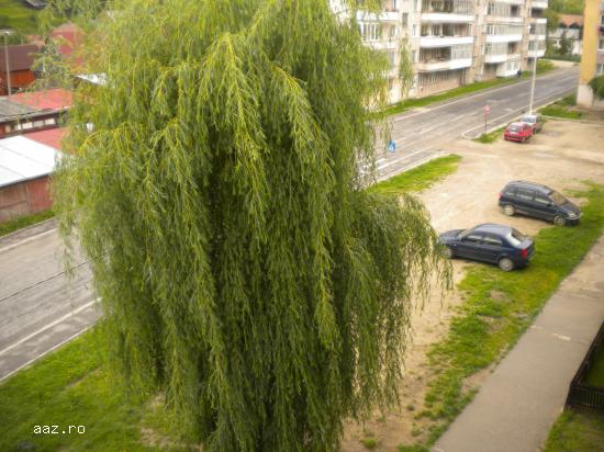 URGENT! Vand apartament cu 2 camere + garaj