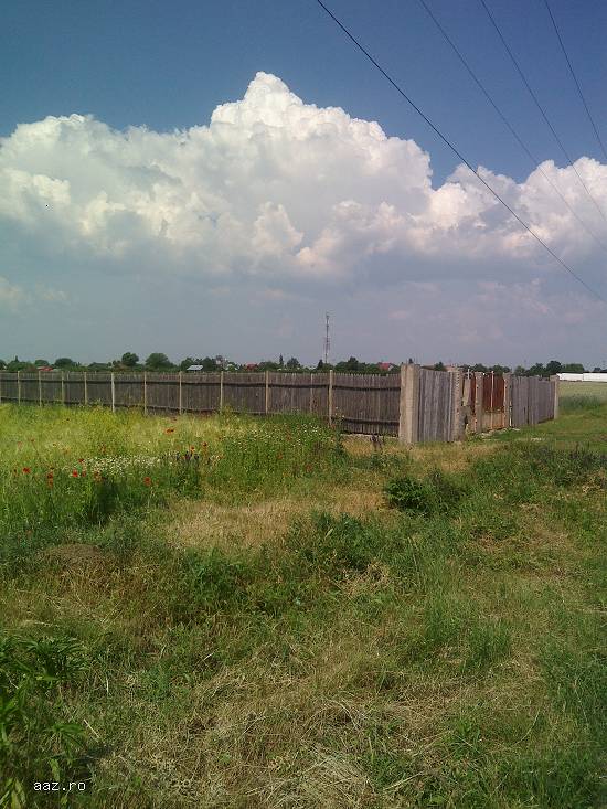 Vinzare teren