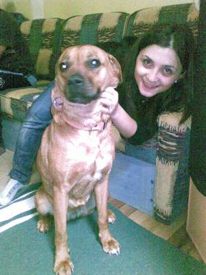 Ofer spre adoptie