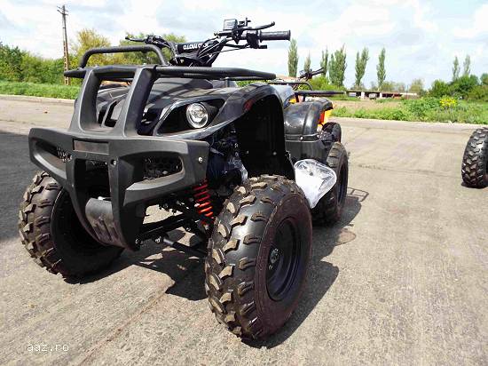 Vand ATV Grizzly Ginf 125cmc