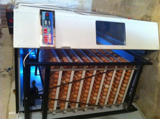 vand incubator oua prepelite