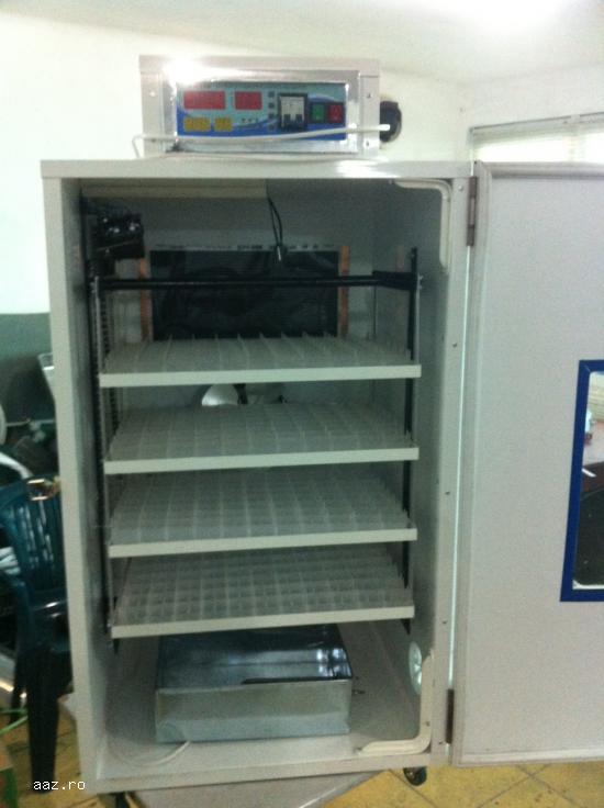 incubator 500 oua