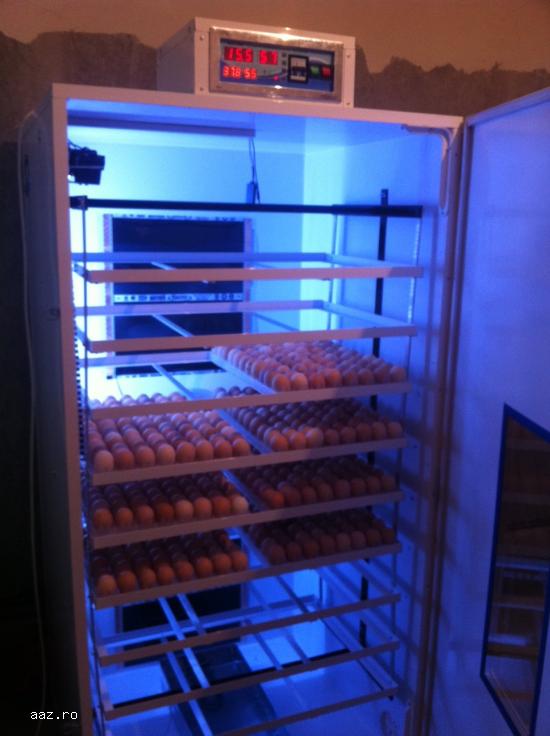 incubator 500 oua
