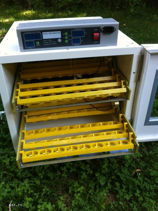 incubator 500 oua