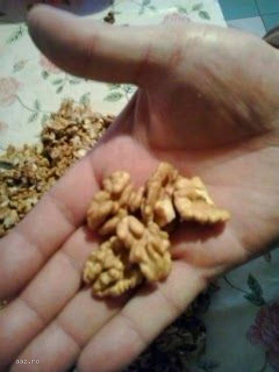 Vindem nuci in coaja si miez de nuca