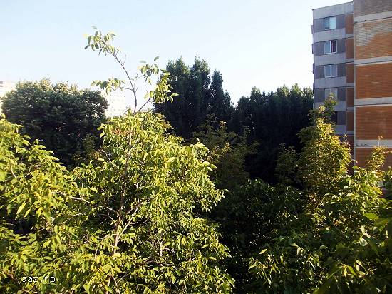 Apartament de vanzare - 4 camere Militari - Cernisoara - Exclusivitate