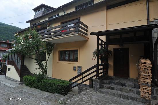 Vila in Sinaia cu vedere la Muntii Bucegi