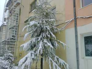 schimb ap. 2 camere SINAIA,   in Campina