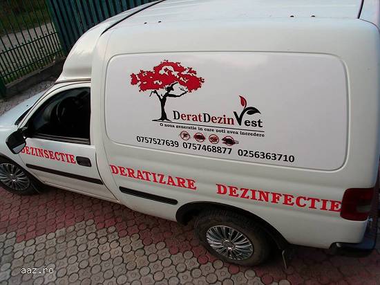 Prestari servicii - dezinsectie,  deratizare