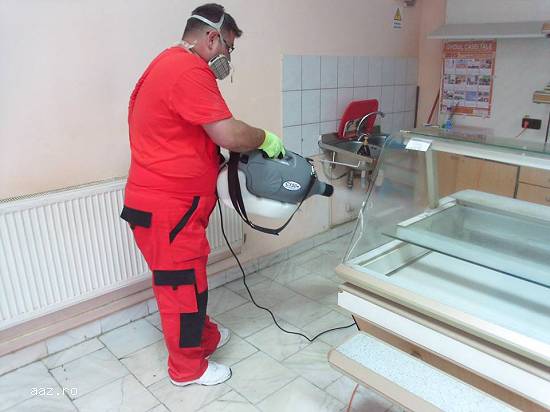 Prestari servicii - dezinsectie,  deratizare
